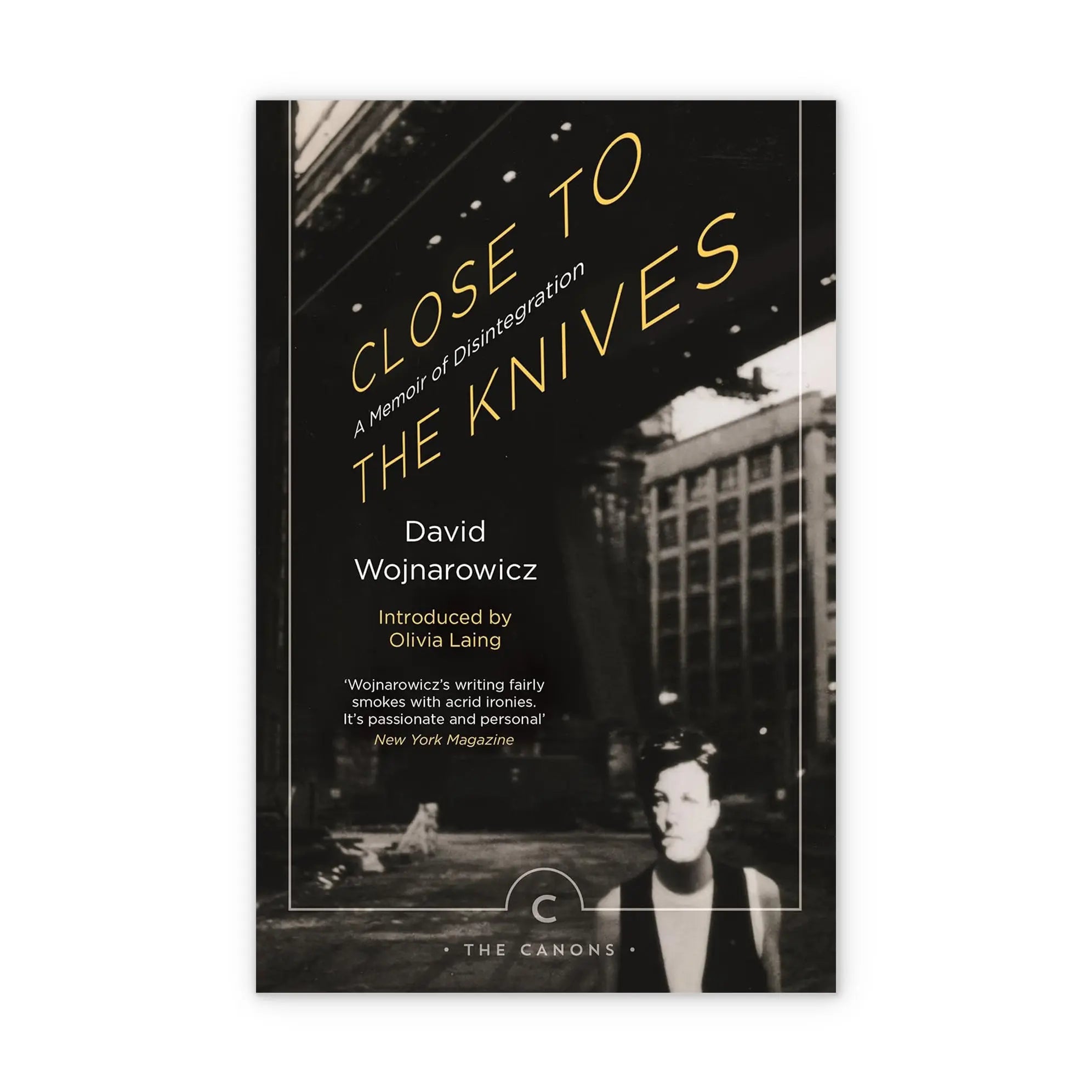 Close to the Knives A Memoir of Disintegration – Plastic Books