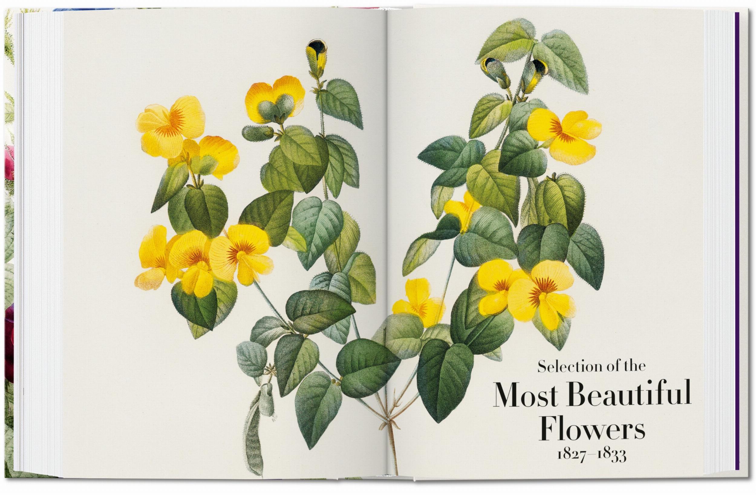 Pierre-Joseph Redouté. El libro de las flores. 40th Ed. – Plastic Books
